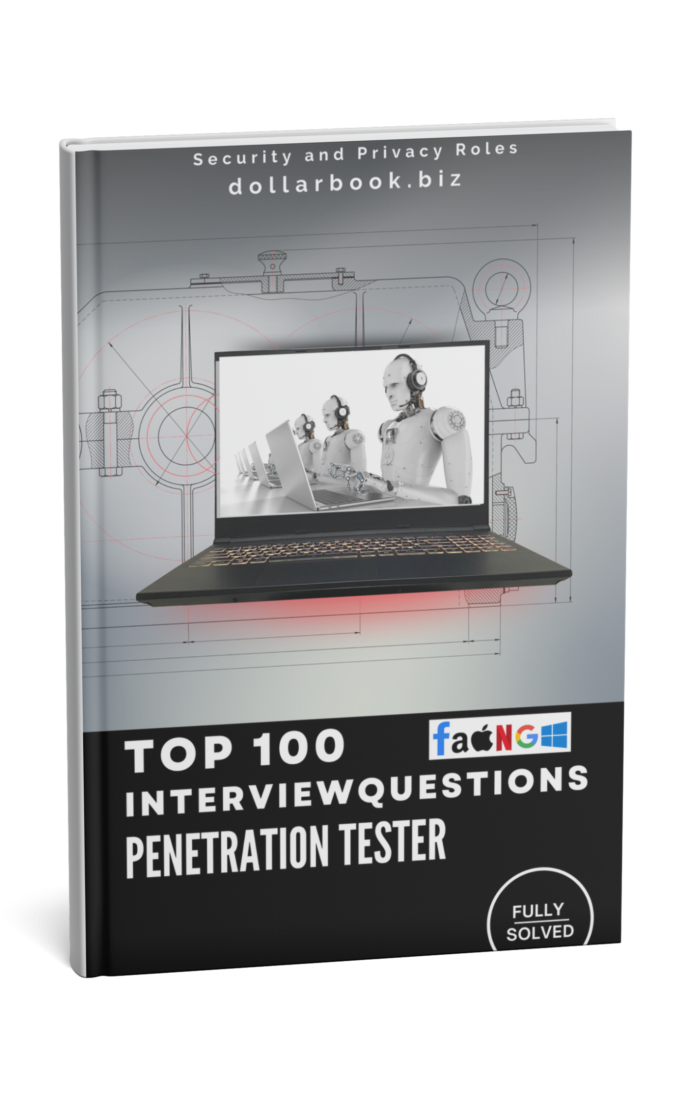 Top 100 Penetration Tester Interview questions